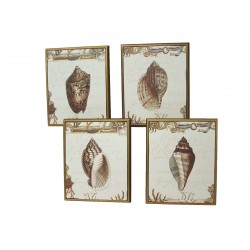 CUADRO TABLA BAÑO MOLUSCOS...