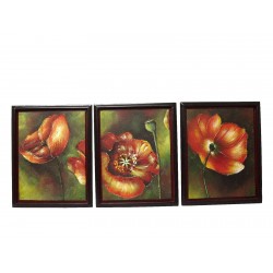CUADRO MARCO AMAPOLA ROJA...