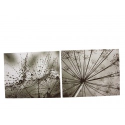 CUADRO LIENZO FOTO ESPORAS...