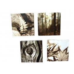 CUADRO LIENZO FOTO BOSQUE...