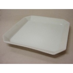 PLATO NILO PRESENTACION...