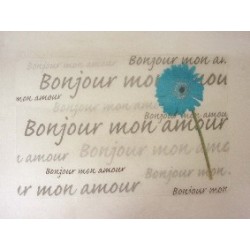 MANTEL INDIVIDUAL FROST...