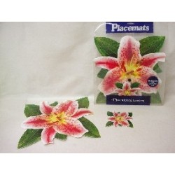 MANTEL Y POSAVASO FORMA...