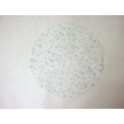 TUL BLONDA ORGANZA DETALLE...