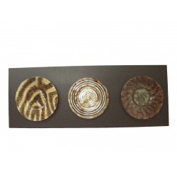 CUADRO MADERA CRISTAL...