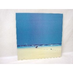 CUADRO TABLA ANTIRAYA PLAYERO