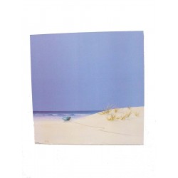 CUADRO TABLA ANTIRAYA PLAYERO