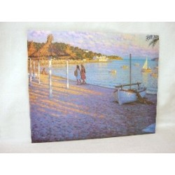 CUADRO TABLA ANTIRAYA...