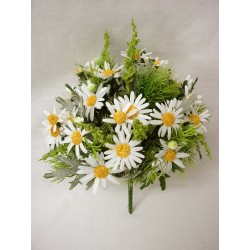 RAMO FLORES DAISY BUSH...