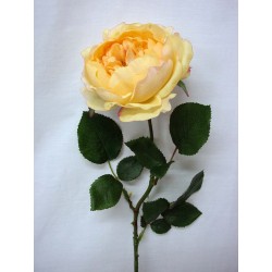 FLOR INDIVIDUAL CABBAGE...