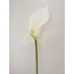 FLOR INDIVIDUAL MINI CALA...