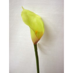 FLOR INDIVIDUAL MINI CALA...