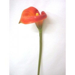 FLOR INDIVIDUAL CALA LILY...