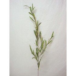 FLOR MIMOSA VERDE AMARILLA