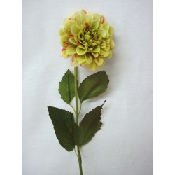 FLOR INDIVIDUAL DALIA VERDE