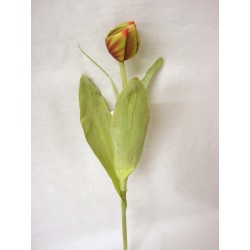 FLOR CAPULLO MINI TULIPAN...