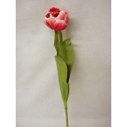 FLOR INDIVIDUAL CAPULLO...