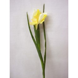 FLOR INDIVIDUAL HOJAS IRIS...