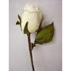 FLOR INDIVIDUAL ROSA...