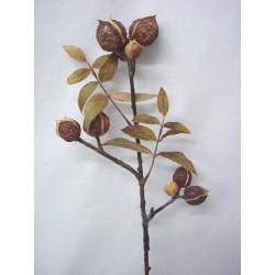 FLOR VARA HOJAS FRUTOS HORN...