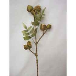 FLOR VARA HOJAS FRUTOS HORN...