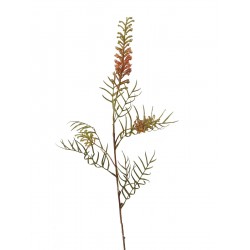 FLOR RAMA HOJAS GREVILLEA...