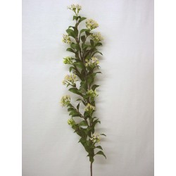 FLOR VARA HOJAS CLUSTER...