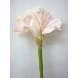 FLOR INDIVIDUAL AMARILYS...