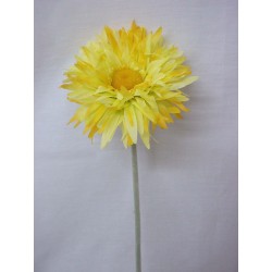 FLOR INDIVIDUAL GERBERA...