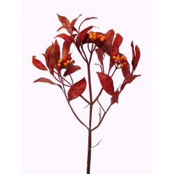 RAMA HOJAS FRUTOS BERRY ROJO