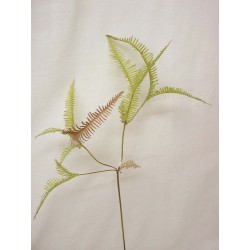 RAMA INDIVIDUAL HOJAS HELECHO