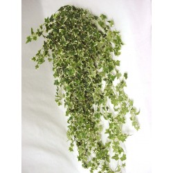 COLGANTE HIEDRA IVY VERDE...