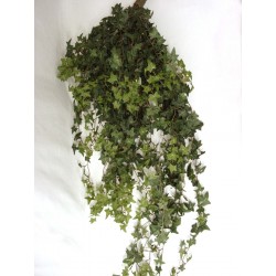 COLGANTE HIEDRA IVY VERDE...