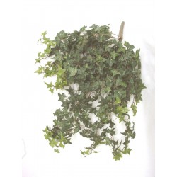 MATA COLGANTE IVY HIEDRA...