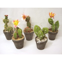 MACETA CON CACTUS FLOR SURTIDO
