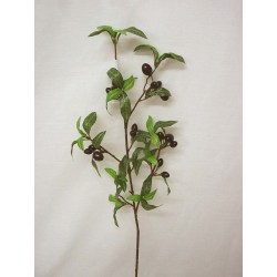 VARA RELLENO HOJAS FRUTOS...