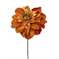 FLOR INDIVIDUAL DALIA MARRON