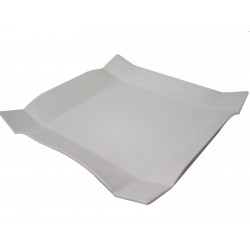 PLATO LLANO HABANA...