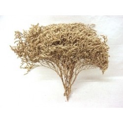 RELLENO 1 KG FLOR SECA...