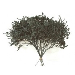 RELLENO 1 KG FLOR SECA...