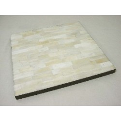 BANDEJA CUADRADA CUERNO...