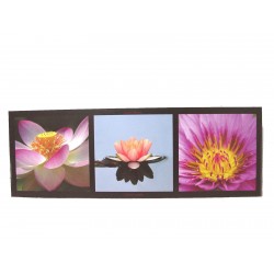 CUADRO TABLA HORIZONTAL...