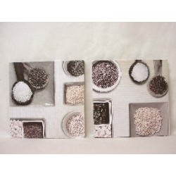 CUADRO LIENZO FOTO ESPECIES...