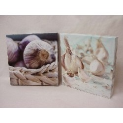 CUADRO LIENZO AJO CEBOLLAS...