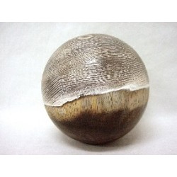 BOLA HUESO MITAD MARRON...