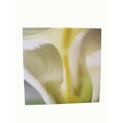 CUADRO PLOTTER PEQUEÑO FLOR...