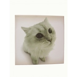 CUADRO PLOTTER PEQUEÑO GATO