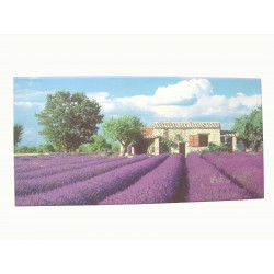 CUADRO PLOTTER CAMPO...