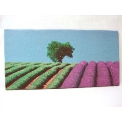 CUADRO PLOTTER CAMPO...