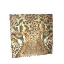 CUADRO PLOTTER MEDIANO...